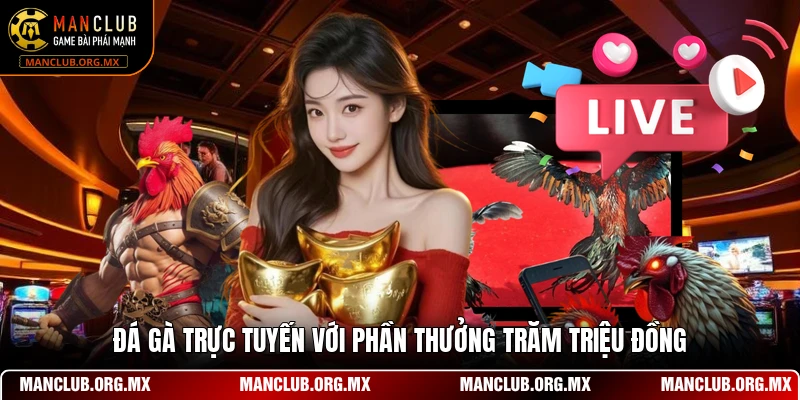 Đá gà trực tuyến với phần thưởng trăm triệu đồng
